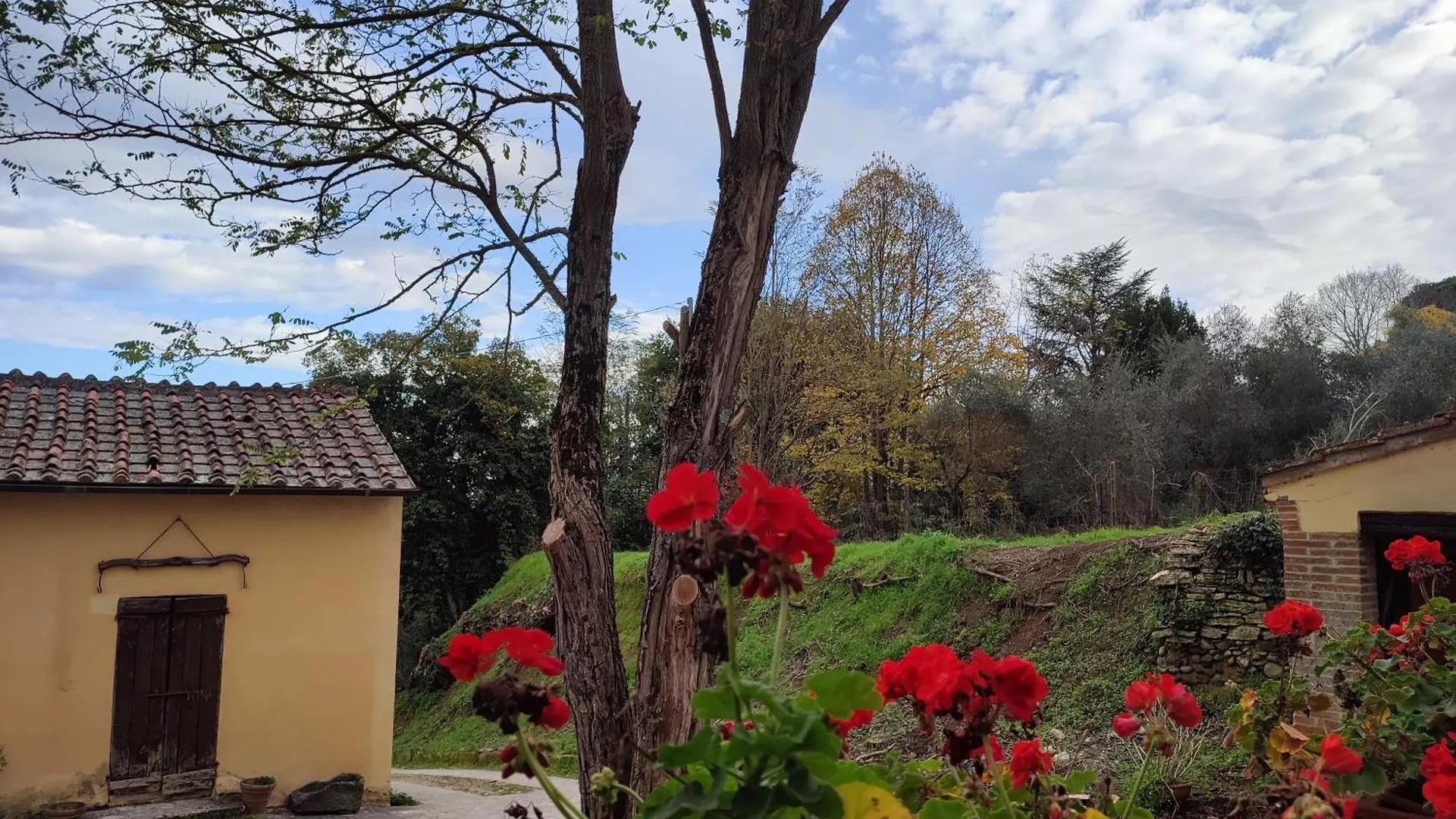 Podere Rinascidentro Asciano 0*,  Italy