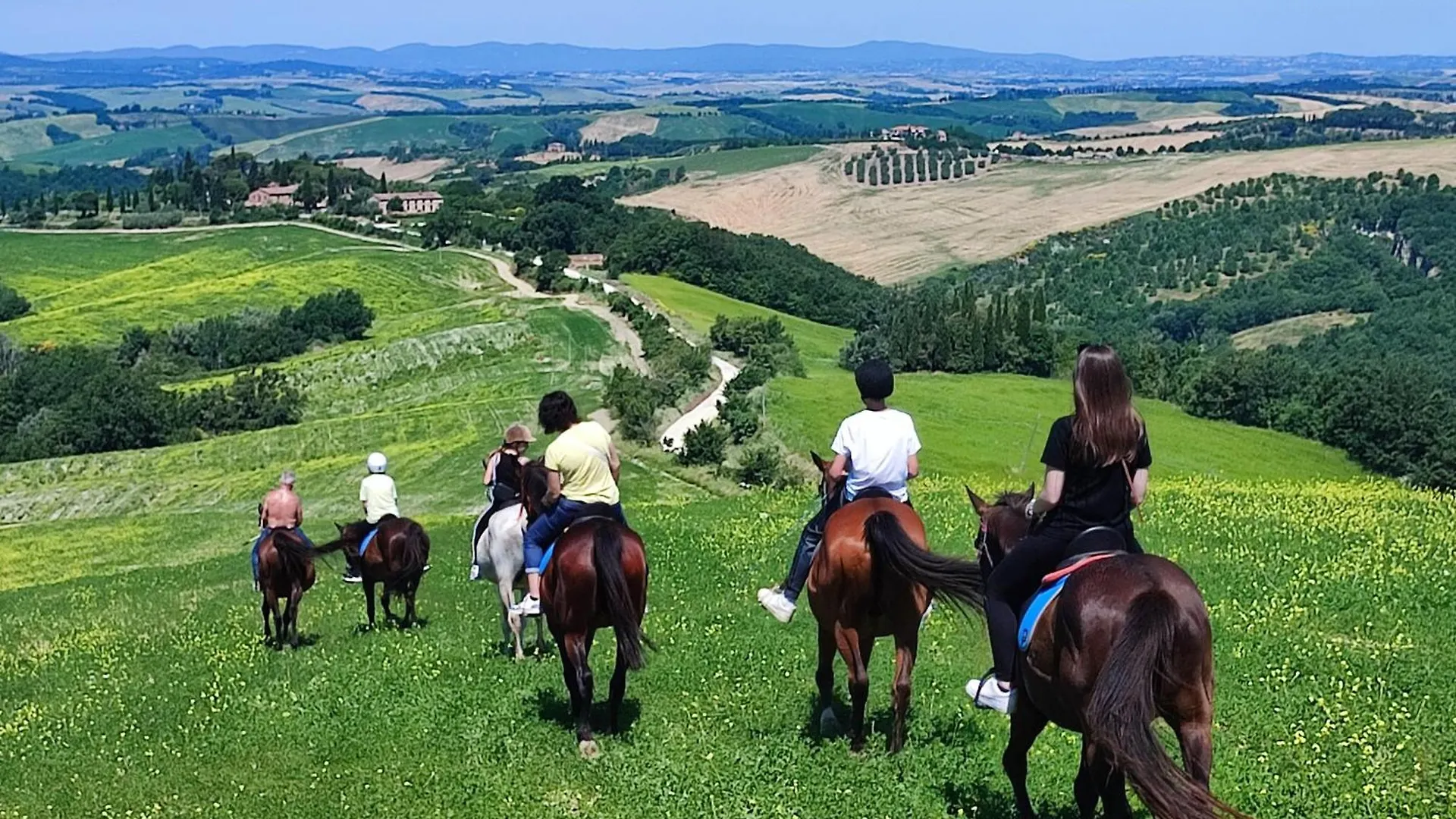 Podere Rinascidentro Asciano Bed & Breakfast